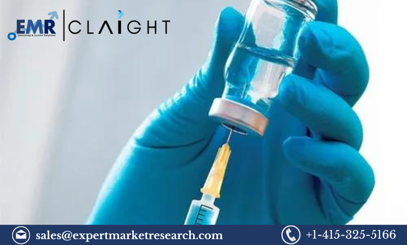 Read more about the article Anti-Infectives Market Report and Forecast 2024-2032