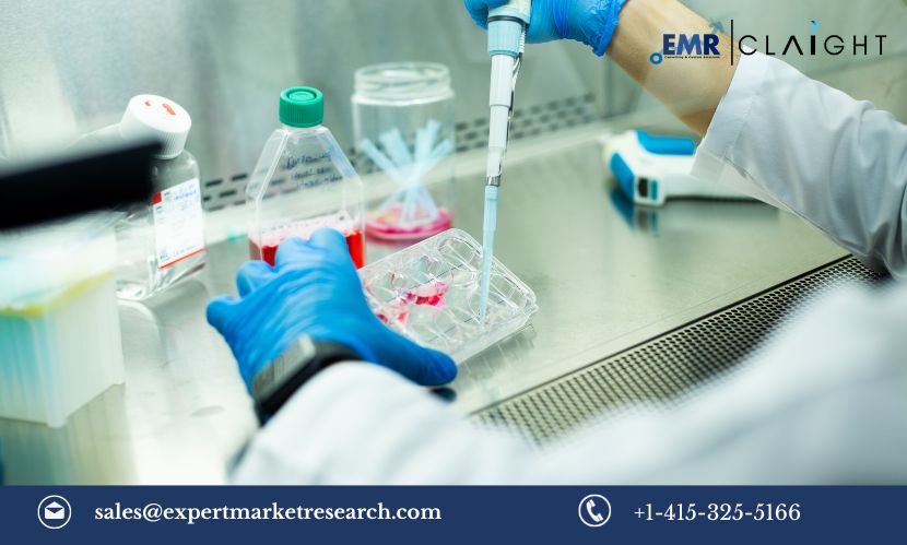 Read more about the article Asia Pacific Stem Cell Assay Market Size, Share, Growth, Trends & Analysis, Report and Forecast 2024-2032