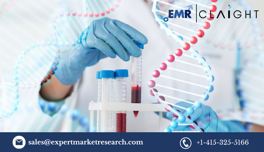 Read more about the article Global Biological Safety Testing Market Report and Forecast 2024-2032