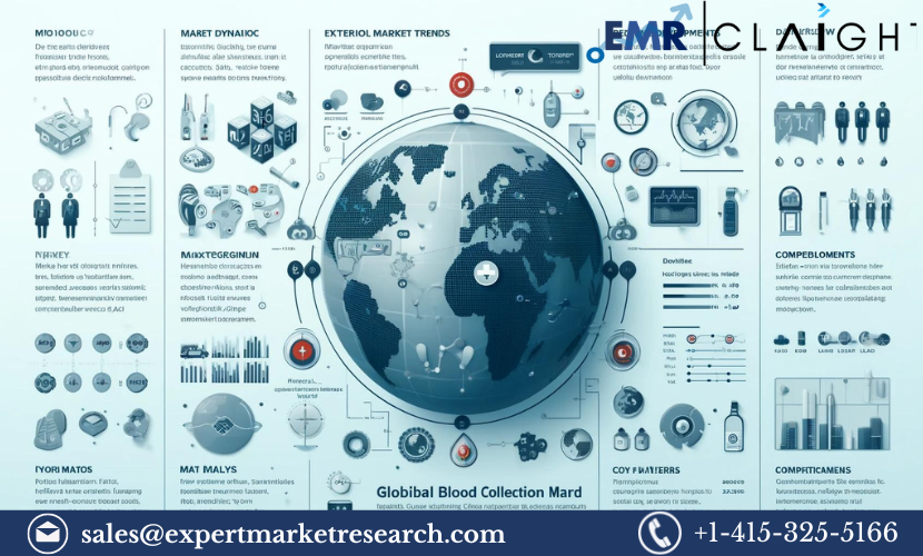 Read more about the article Blood Collection Market Report and Forecast 2024-2032