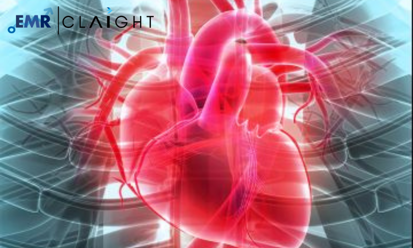 Read more about the article Cardiac Biomarkers Market Report and Forecast 2024-2032