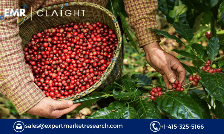 Read more about the article Organic Coffee Market Size, Growth and Forecast 2024-2032