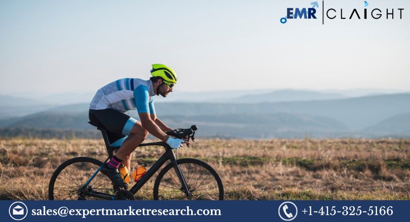 Read more about the article Global Cycling Apparel Market Size, Share, Analysis and Forecast 2024-2032