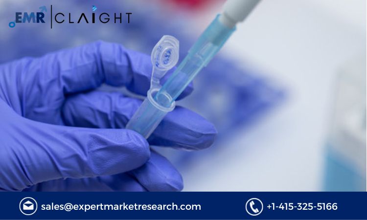 Read more about the article DNA Sequencing Products Market Report and Forecast 2024-2032