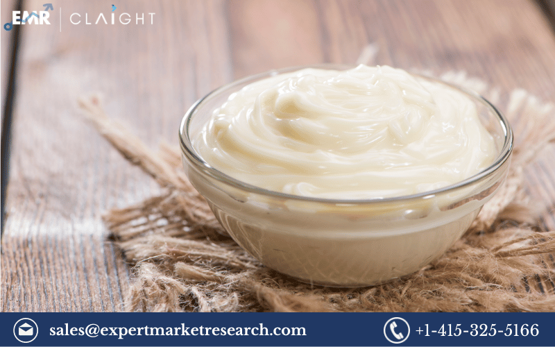 Read more about the article Europe B2B Mayonnaise Market Size, Share, Price, Trends, Growth, Report and Forecast 2024-2032