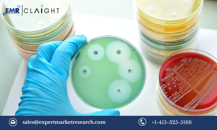 Read more about the article Global Antimicrobial Therapeutics Market Size, Share, Growth, Trends & Analysis, Report and Forecast 2024-2032