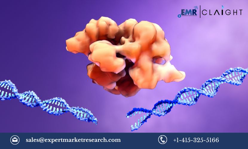 Read more about the article Global CRISPR Technology Market Size, Share, Growth, Trends & Analysis, Report and Forecast 2024-2032