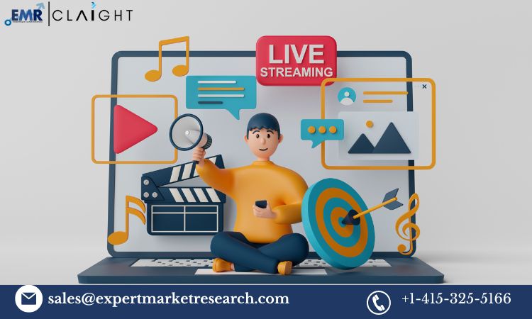 Read more about the article Global Content Services Platform Market Report, Trends, Growth, Key Players, Share, Size, Forecast 2024-2032