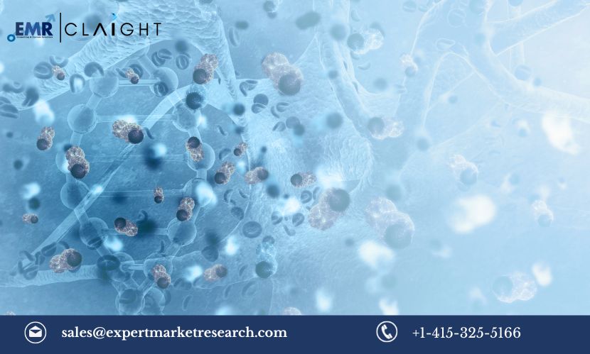 Read more about the article Global Stem Cell Therapy Market Size, Share, Growth, Trends & Analysis, Report and Forecast 2024-2032