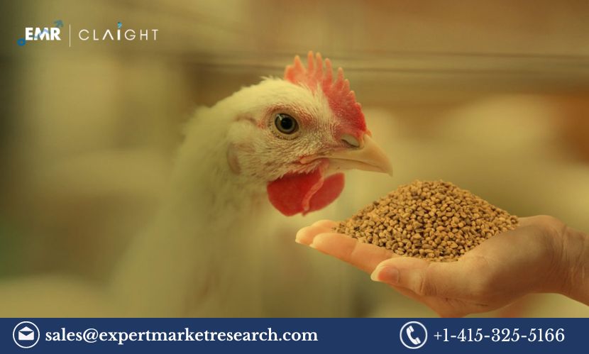 Read more about the article India Poultry Feed Market Share, Size, Trends and Industry Forecast 2024-2032