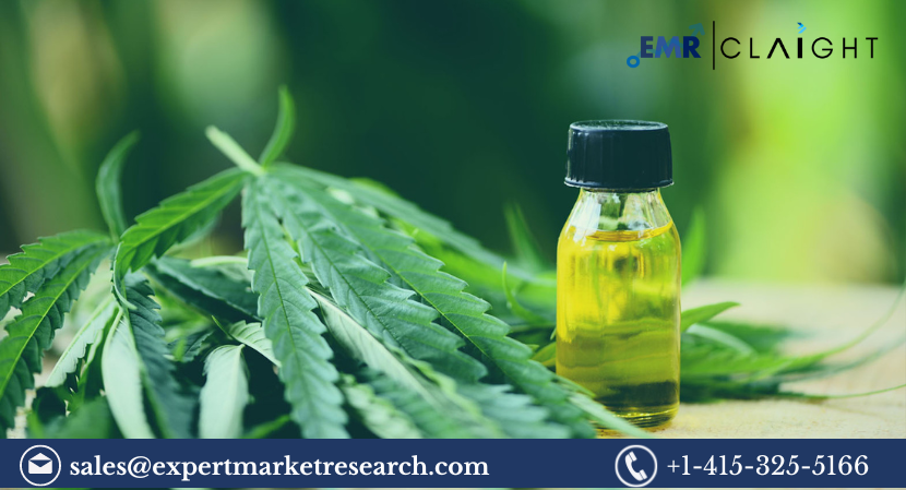 Read more about the article Global Industrial Hemp Market Size, Share, Analysis and Forecast 2024-2032