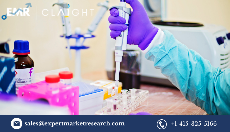 Read more about the article Latin America In-vitro Diagnostics Market Size, Share, Trends, Growth, Report, Forecast 2032