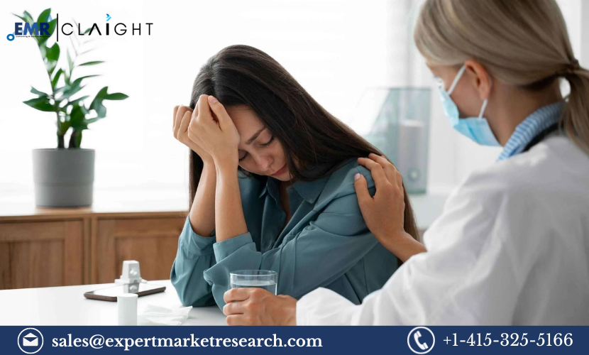 Read more about the article Mental Health Treatment Market Size, Share, Trends, Growth, Analysis, Report and Forecast 2024-2032