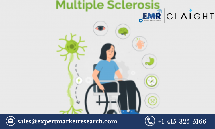 Read more about the article Multiple Sclerosis Treatment Market Report and Forecast 2024-2032