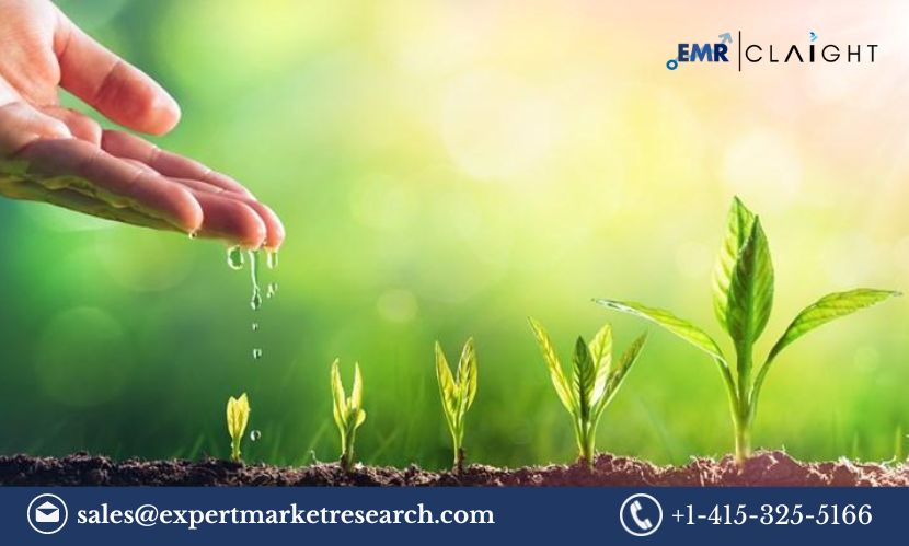 Read more about the article Plant Growth Regulators Market Size, Share, Trends, Report and Forecast 2024-2032