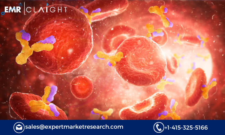 Read more about the article Global Plasma Protein Therapeutics Market Report and Forecast 2024-2032