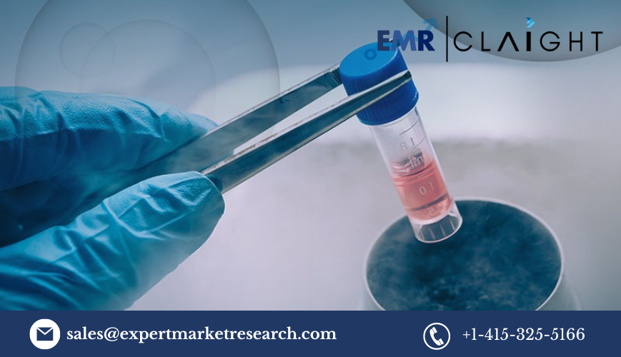 Read more about the article Stem Cell Market Size, Share, Report and Forecast 2024-2032