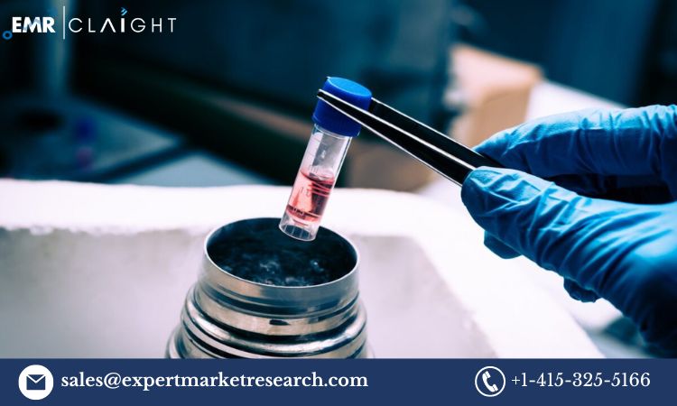 Read more about the article Stem Cell Banking Market Size, Share, Trends, Analysis, Industry, Research, Report and Forecast 2024-2032