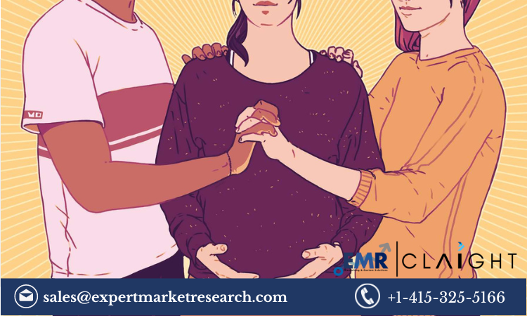 Read more about the article Global Surrogacy Market Size, Share, Report and Forecast 2024-2032