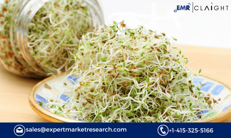 Read more about the article United States Alfalfa Market Size, Share, Industry Demand, Growth, Report and Forecast 2024-2032