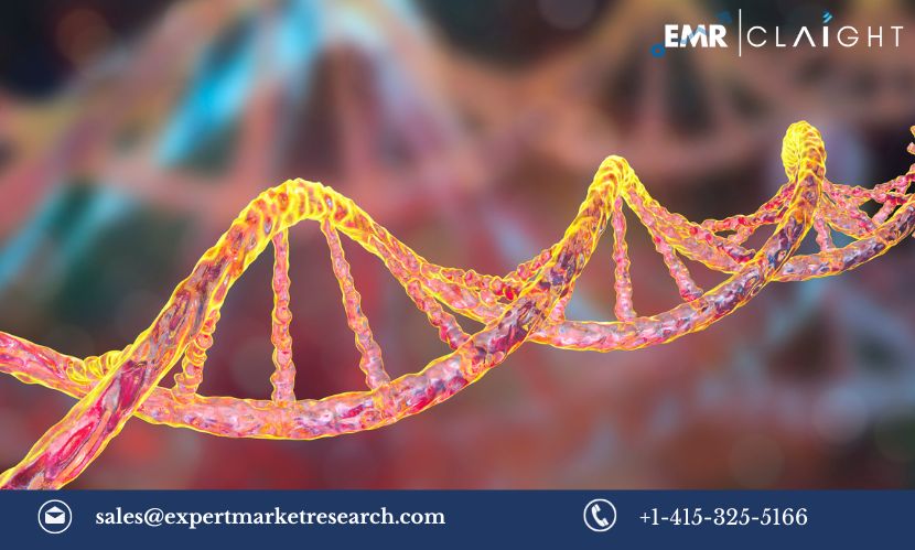 Read more about the article United States Hereditary Angioedema Therapeutics Market Size, Share, Growth, Trends & Analysis, Report and Forecast 2024-2032