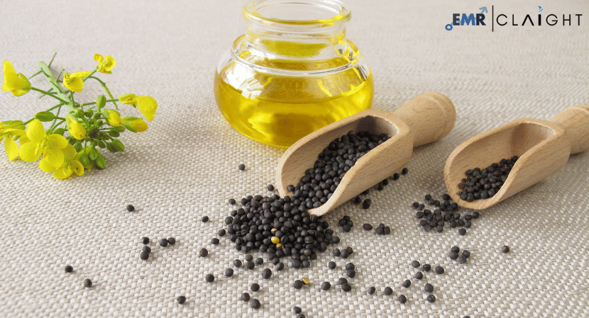 Read more about the article Australia Canola Seeds Market Size, Share, Growth, Analysis and Forecast 2032