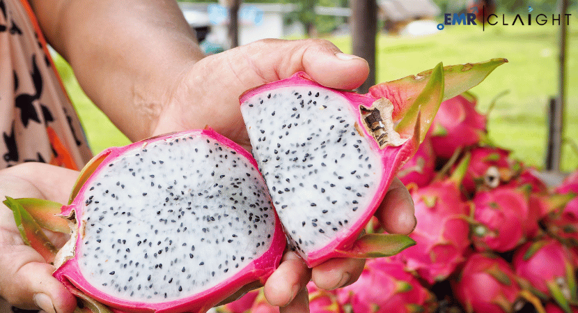 Read more about the article Australia Dragon Fruit Market Size, Share, Growth, Forecast Report 2032