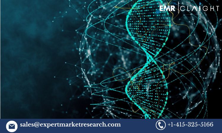 Read more about the article Genomics Market Size, Share, Trends, Industry Report 2032