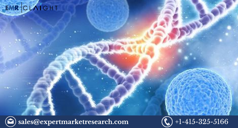 Read more about the article Antisense and RNAi Therapeutics Market Size, Share, Report and Forecast 2024-2032