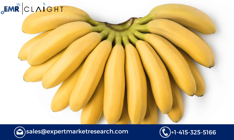 Read more about the article Australia Banana Market Size, Share, Growth, Outlook, Report and Forecast 2024-2032