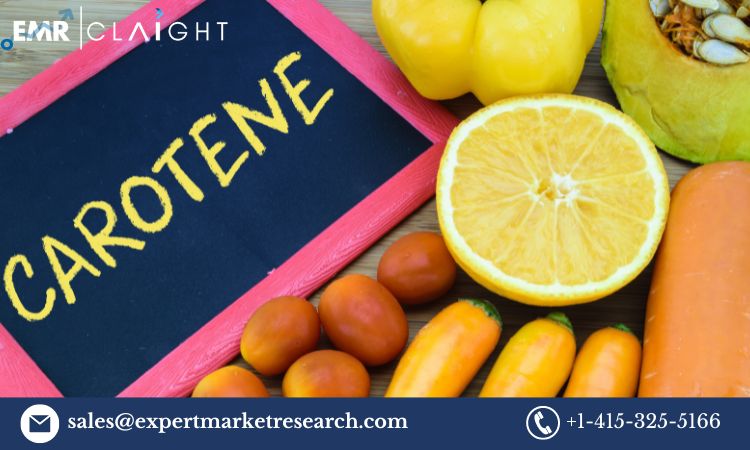 Read more about the article Carotenoids Market Report, Trends, Growth, Key Players, Share, Size, Forecast 2024-2032