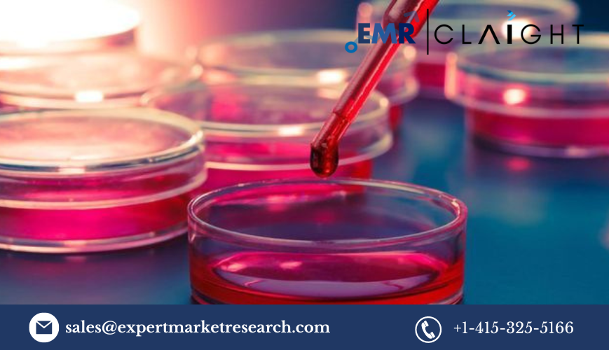 You are currently viewing Cell Culture Market Size, Share, Report and Forecast 2024-2032