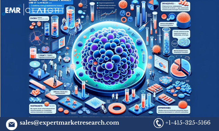 Read more about the article Cell Therapy Market Size, Share, Growth, Report and Forecast 2024-2032