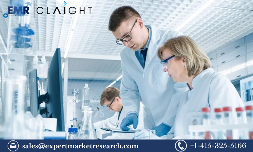 Read more about the article Contract Research Organisation (CRO) Services Market Report and Forecast 2024-2032