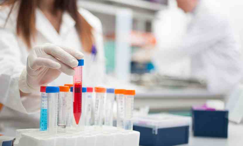 Read more about the article Global Clinical Microbiology Market Size, Share, Trends, Growth, Analysis, Report and Forecast 2024-2032