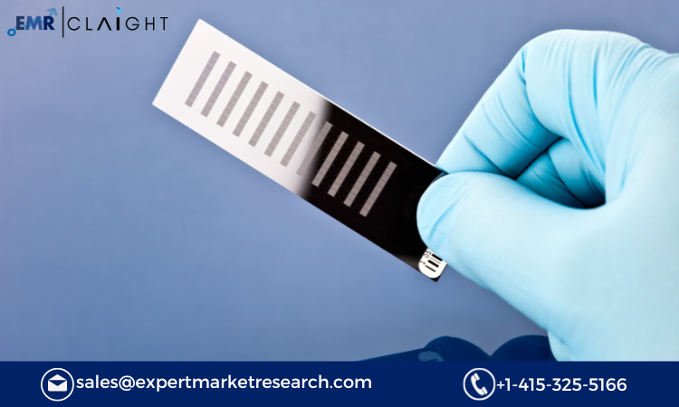 Read more about the article Global DNA Microarray Market Size, Share, Trends, Growth, Analysis, Report and Forecast 2024-2032