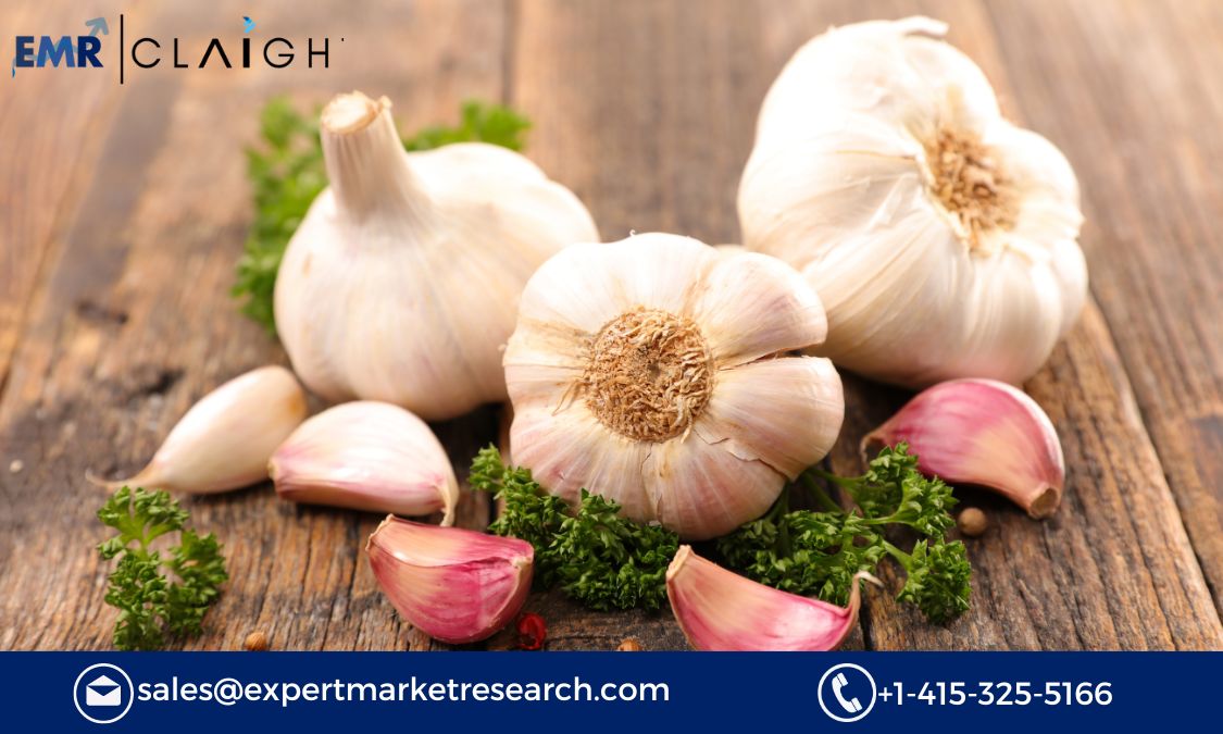 Read more about the article Global Garlic Market Report, Trends, Growth, Key Players, Share, Size, Forecast 2024-2032