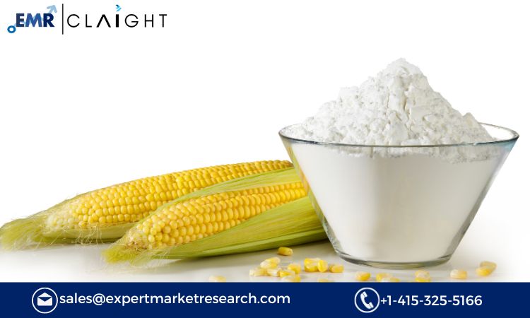 Read more about the article Global Native Corn Starch Market Report, Trends, Growth, Key Players, Share, Size, Forecast 2024-2032