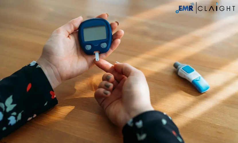 Read more about the article Global Glucose Monitoring Devices Market Report and Forecast 2024-2032