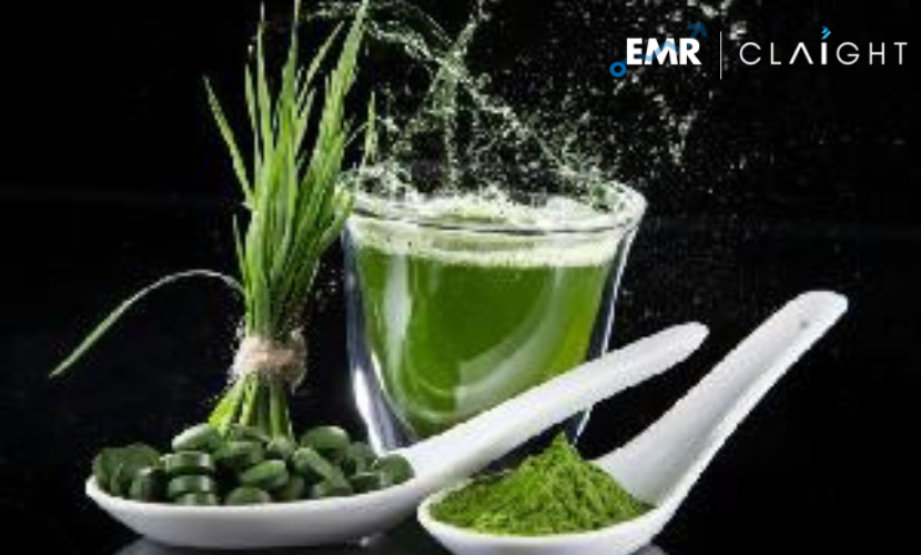 Read more about the article Green Chelates/Natural Chelating Agents Market Report and Forecast 2024-2032