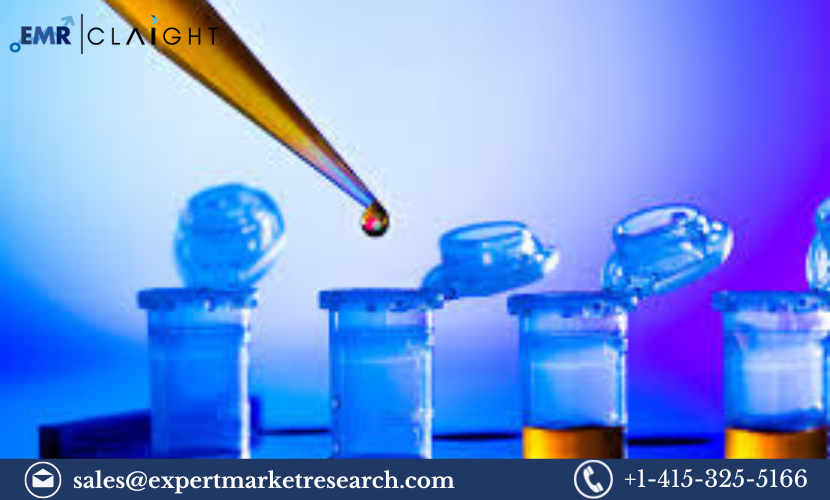 Read more about the article Chile In-Vitro Diagnostics Market Report and Forecast 2024-2032