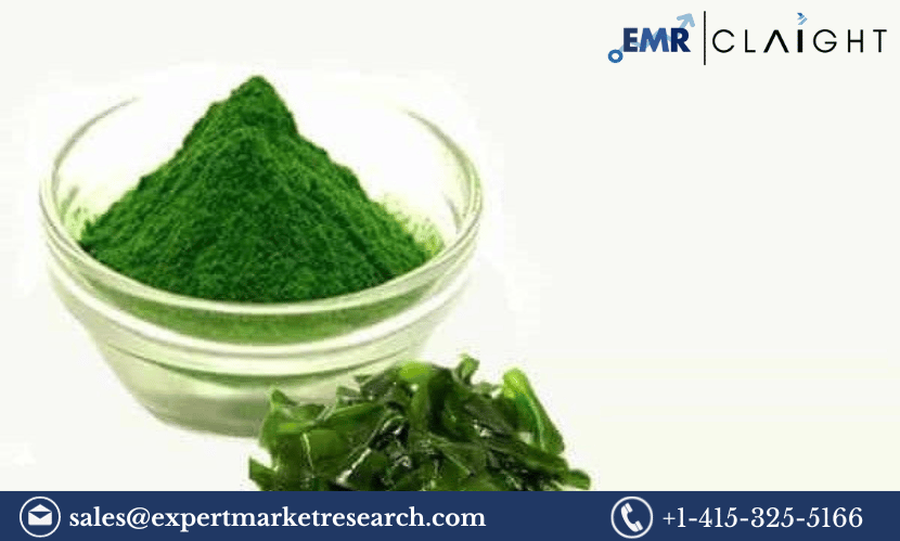 Read more about the article Global Kelp Extracts Market Size, Share, Outlook, Growth, Key Players, Report and Forecast 2024-2032