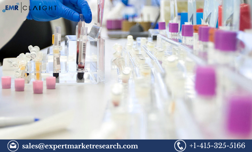 Read more about the article Latin America Biobanking Market Size, Share, Growth, Report and Forecast 2024-2032