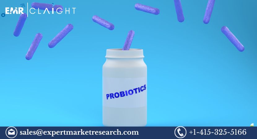 Read more about the article Latin America Probiotic Supplements Market to Hit USD 200.85M by 2032