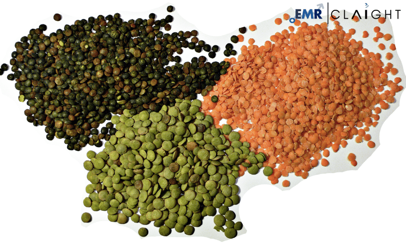 Read more about the article Global Lentil Market Size, Share, Industry Growth, Outlook, Report and Forecast 2024-2032