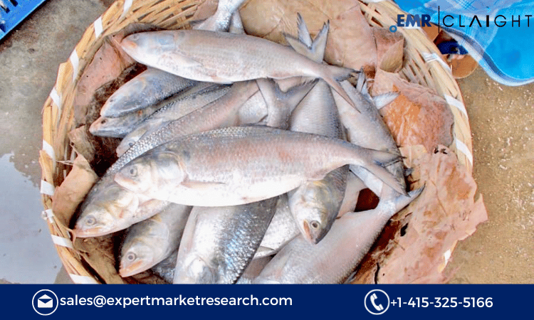 You are currently viewing Mexico Fish Market Size, Share, Growth, Demand, Key Players, Report and Forecast 2024-2032