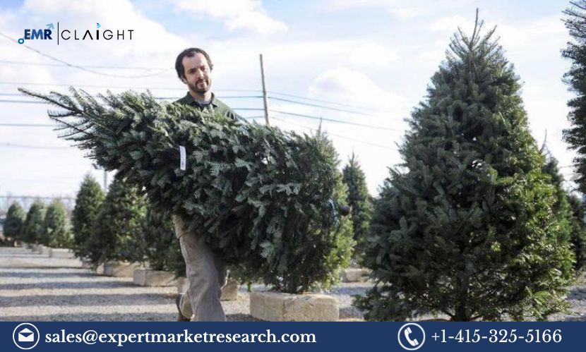 Read more about the article North America Christmas Tree Market Share, Size, Trends, Report and Forecast 2024-2032