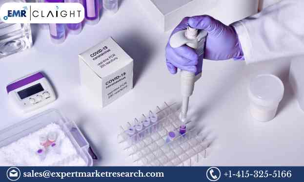 Read more about the article North America Companion Diagnostics Market Size, Share, Trends, Growth, Analysis, Report and Forecast 2024-2032