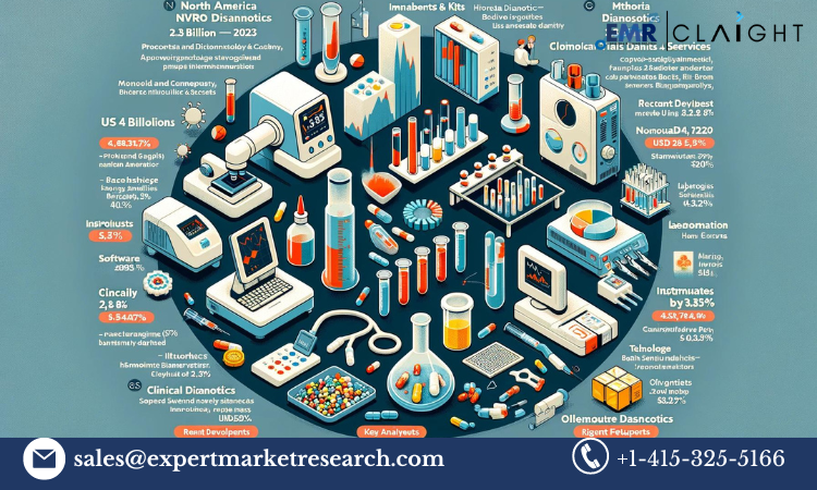 Read more about the article North America In-Vitro Diagnostics Market Report and Forecast 2024-2032