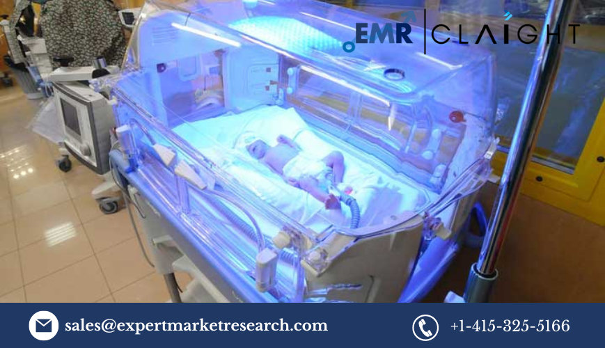 Read more about the article North America Neonatal Ventilators Market Report and Forecast 2024-2032